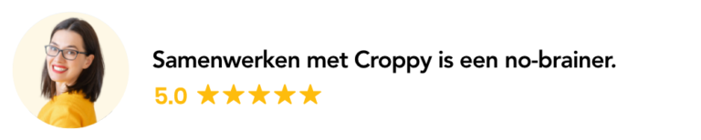 Review 5 - Croppy